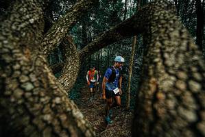 BIB: 
                            <button type="button" onclick="openModal(25674438)" class="btn btn-primary btn-sm float-right btn-popup" data-toggle="modal" data-target=".modal-high-quality">
                        <i class="fas fa-shopping-cart"></i> Add to Cart
                    </button>
                                            <button type="button" onclick="isThisMe(25674438, true)" class="btn btn-success btn-sm float-right btn-popup btn-isme hidden" data-toggle="tooltip" data-placement="bottom" title="นี่คือรูปของคุณใช่ไหม คลิกที่นี่เพื่อเอาเข้าอัลบั้ม">
                        <i class="fas fa-plus"></i> Add to album
                    </button>
                    <button type="button" onclick="isThisMe(25674438, false)" class="btn btn-warning btn-sm float-right btn-popup btn-isnotme hidden">
                        <i class="fas fa-ban"></i> Remove from album
                    </button>